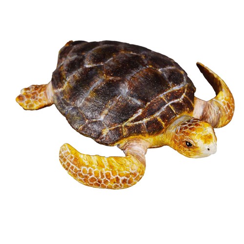 Collecta unechte - collecta,