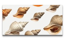 120x60cm Remaster Illustration