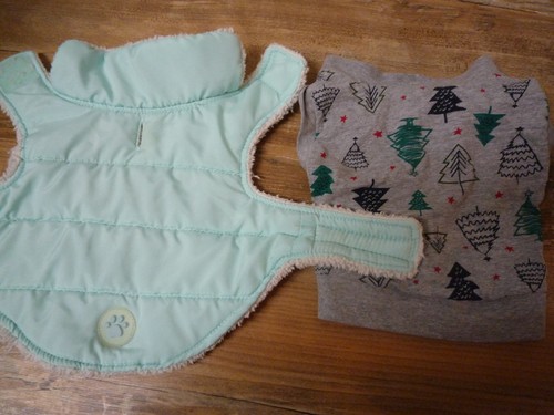 Chihuahua kleidung winterjacke - chihuahua,