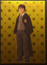 2021 panini harry potter - harry,
