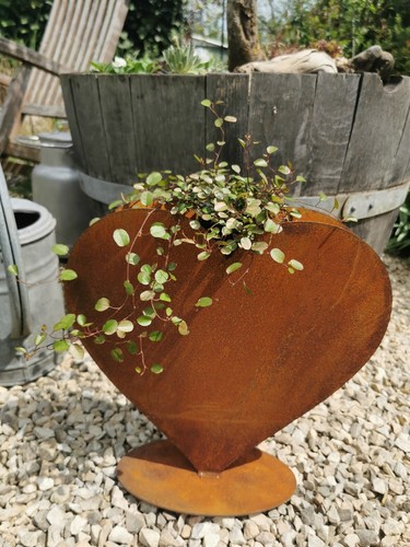 Herz pflanztopf h33cm - ,