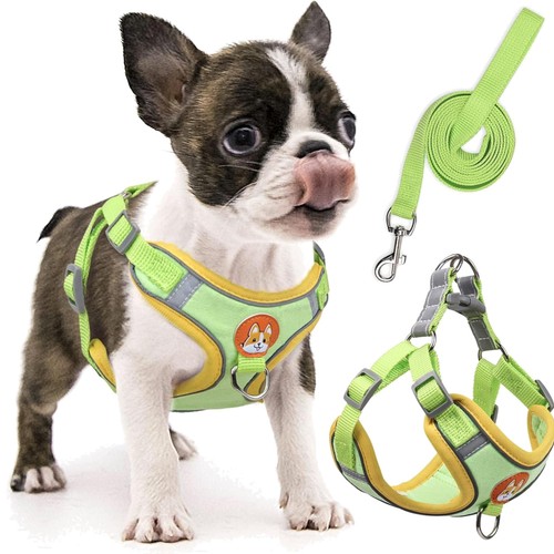 Hundegeschirr welpen - hundegeschirr,