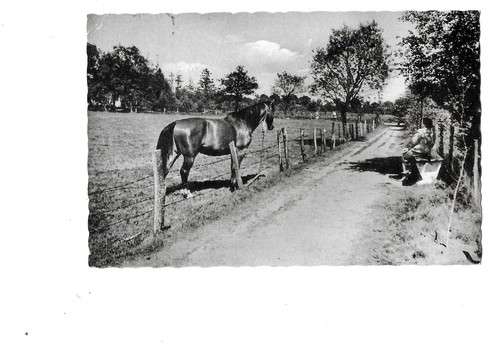 Bad bramstedt fußweg am - bad,
