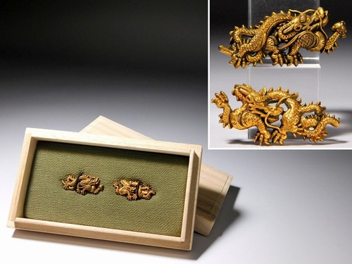 Hairyu dragon design - hairyu, sentoku