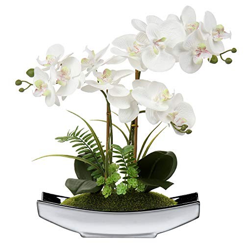 Künstliche phalaenopsis - 15",