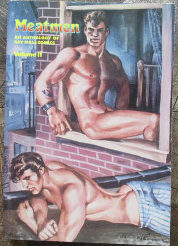 Gay vintage bildband comic - /,