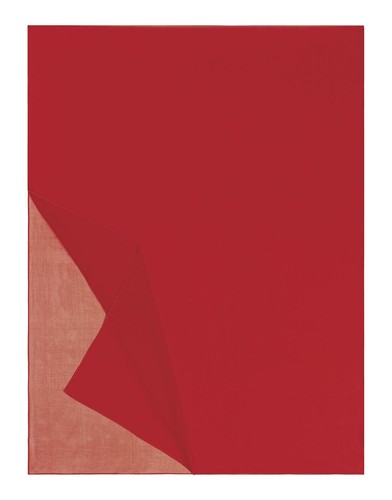 Roeckl classic georgette scarf - classic,