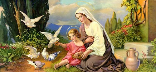 Tauben madonna geschaffen von - tauben,