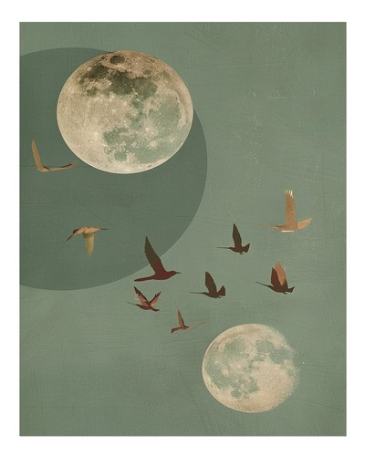 Surrealer mond vogel - mond, &