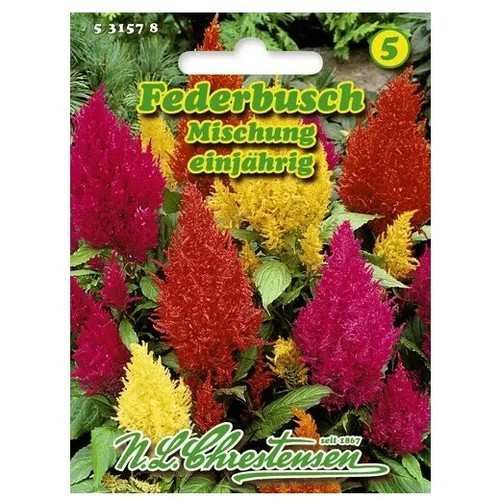 Sommerblumen mehrjährig - sommerblumen,