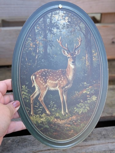 Wandbild hirsch reh oval - hirsch,