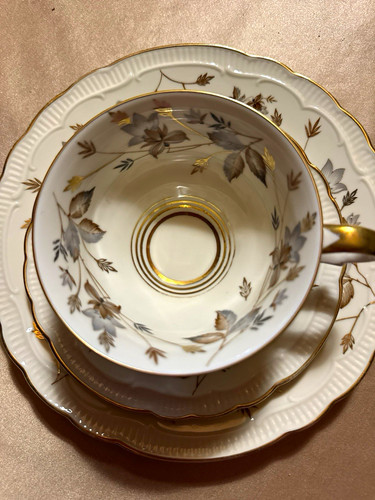 Winterling porzellan tasse - winterling,