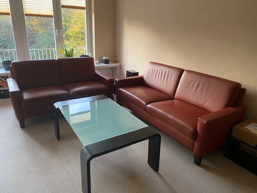 Zeitlos modernes ledersofa - modernes,