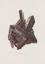 Baryt Schwerspat  Farbdruck 1967 Mineralien Gesteine C. Caspari