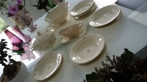 Speiseservice villeroy boch - speiseservice,,