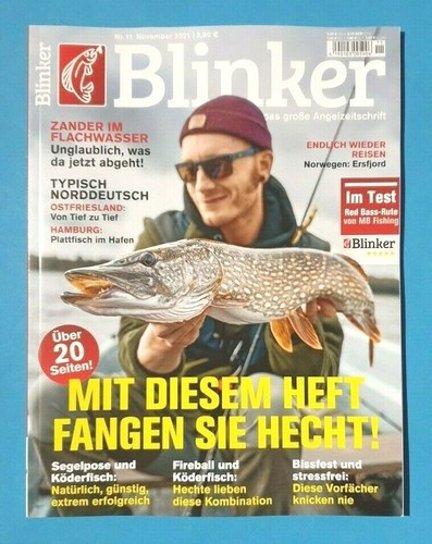 Blinker november 2021 - blinker, november/2021