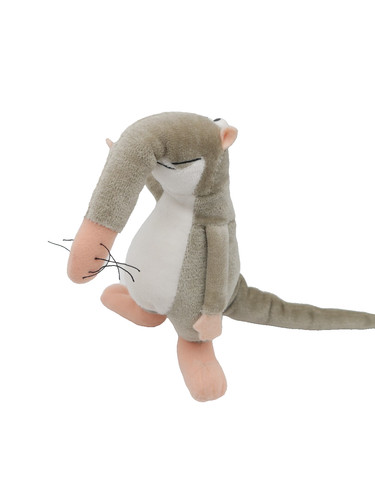 Günter der nasenbär - günter,