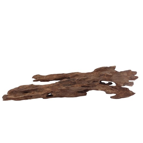 Honey comb wurzel - l,