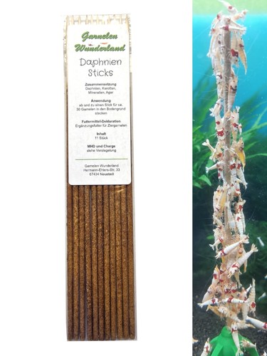 Garnelen wunderland shrimp - garnelen,