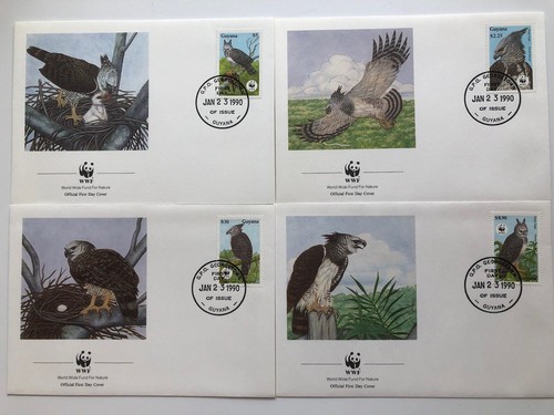 Wwf etb guyana - 4, raubvögel