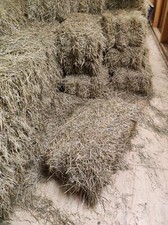 Heuballen, Heu in kleinen Ballen, Futter für: Pferde, Schafe, Ziegen, Hasen, ...