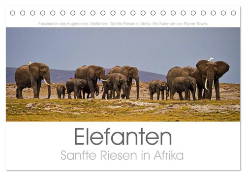 Elefanten sanfte riesen - elefanten, in