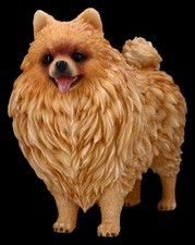Deko Hunde Figur Zwergspitz – Pomeranian Statue - Züchter Welpe Geschenk - H 20