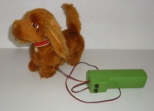 Max carl hund mit - hund,