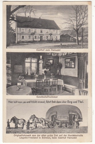 Gasthof zum hainwald - gasthof,