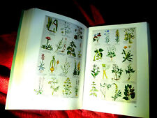 Rares, altes KRÄUTERBUCH aus 1958 Rezepte Tinkturen Salben Heilpflanzen ÖLE Tees