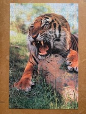 1000 Teile Puzzle - Sibirischer Tiger - Weck Puzzle