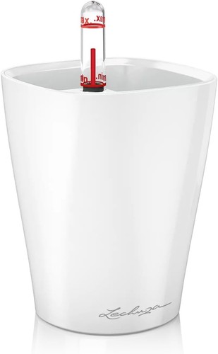 Lechuza mini deltini - lechuza, mini-deltini
