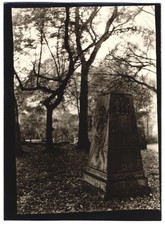 Fotografie W. Apel, Berlin