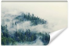 Vlies Fototapete WALD Bäume