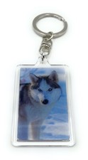 Hund husky schlittenhund - husky,