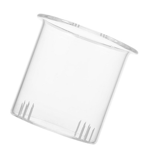 Teeeinsatz glas für - teeeinsatz,