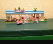 LEGO FRIENDS: Großes