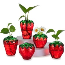 5-teiliges Erdbeer Glasvasen