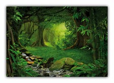 XXL Poster 100 x 70cm Dschungel Fluss und Urwaldriesen (F245) Plakate gerollt