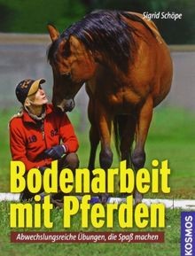 Bodenarbeit mit pferden - bodenarbeit,