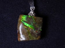 Ammolith Anhänger (Kanada)