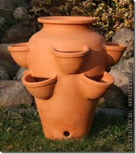 Pflanzkübel Kräutertopf Gewürztopf TERRACOTTA massiv und Stabil preisgünstig NEU