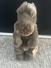 Kösen Nilpferd Flusspferd Sitzend