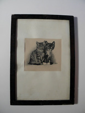 Alte * wohl Lithografie * mit 2 Katzen * Stubentiger * Kätzchen *