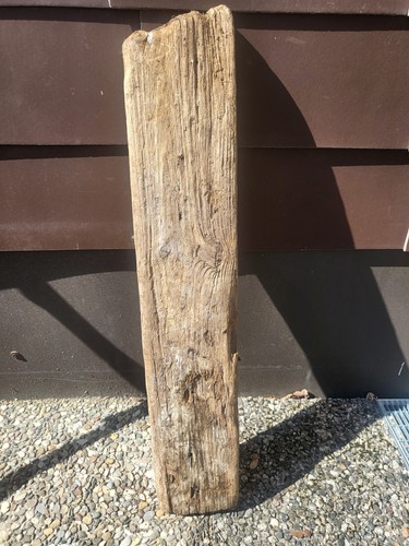 Treibholz wurzel ast - treibholz,