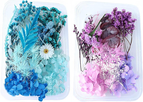 Getrocknete blumen echt - getrocknete,
