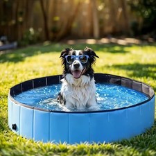 Faltbarer hundepool - faltbarer,