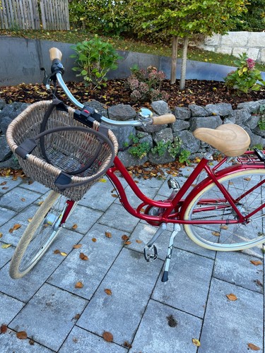 Fahrrad mit korb raleigh - korb,