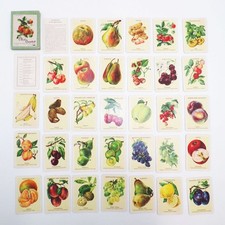 Obst Quartett Helingsche