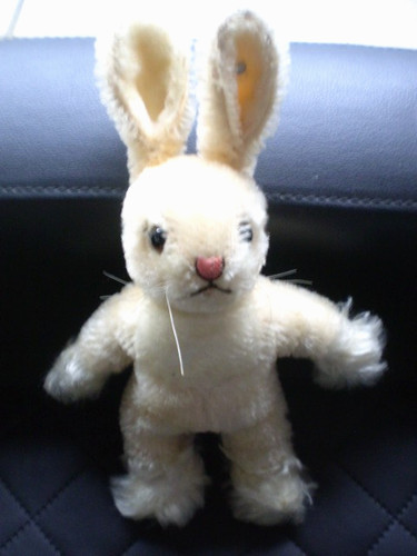 Steiff hase kaninchen - hase,